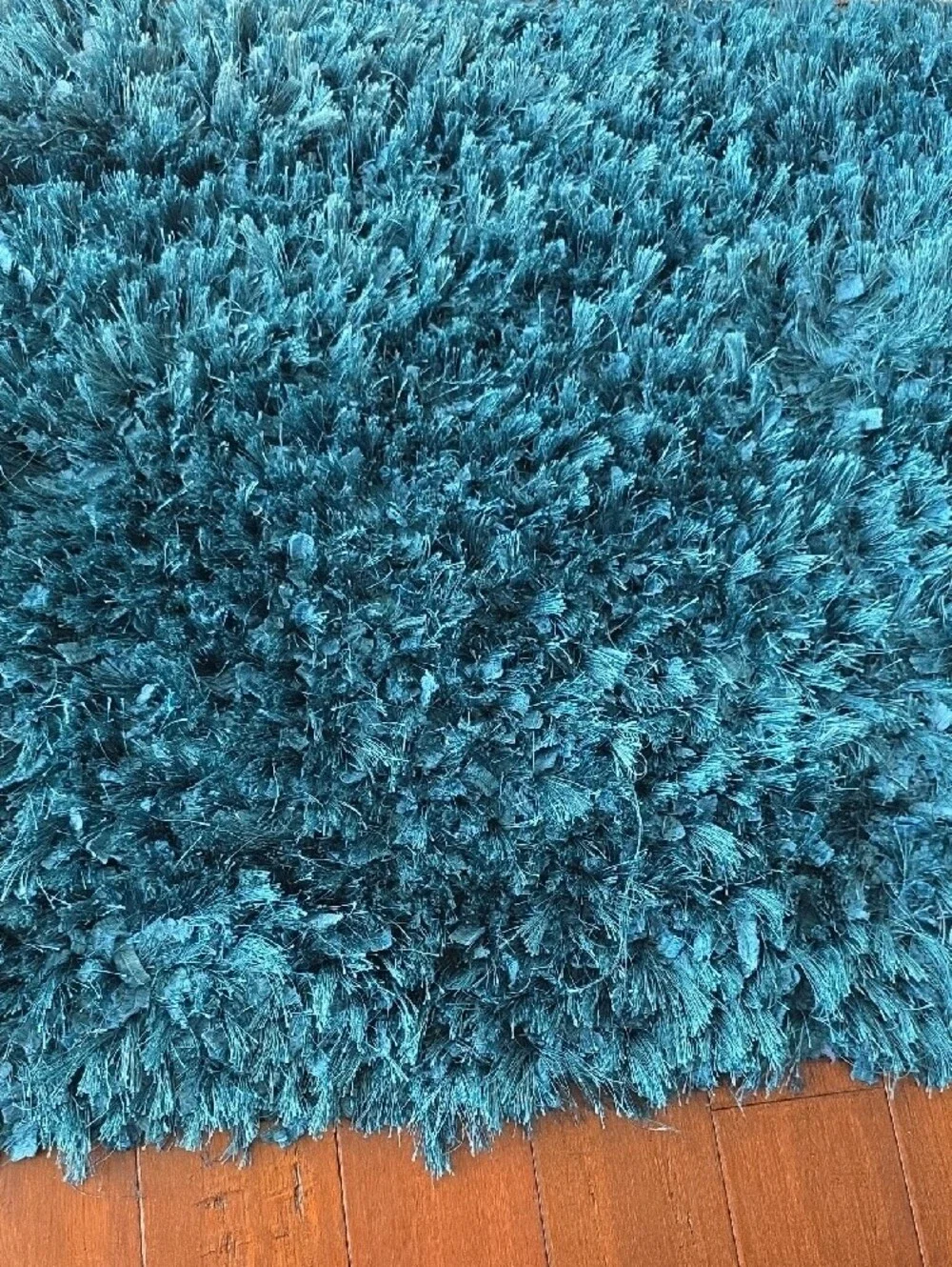 Plush Teal Shag Area Rug - Home Accents